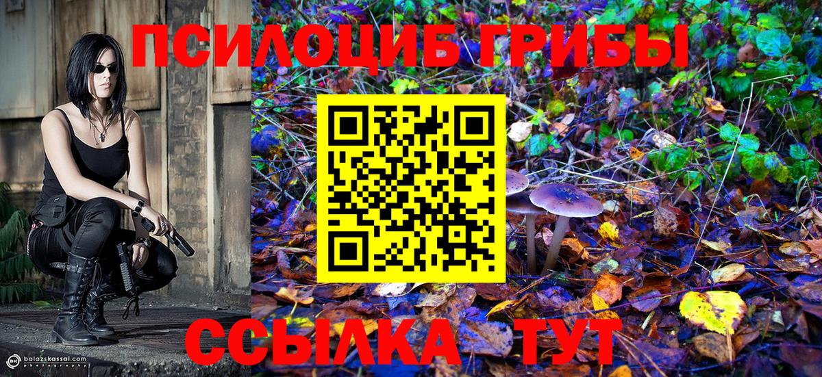 Янаул  Галлюциногенные грибы MAGIC MUSHROOMS  Вход с VPN  Псилоцибиновые грибы мухоморы 